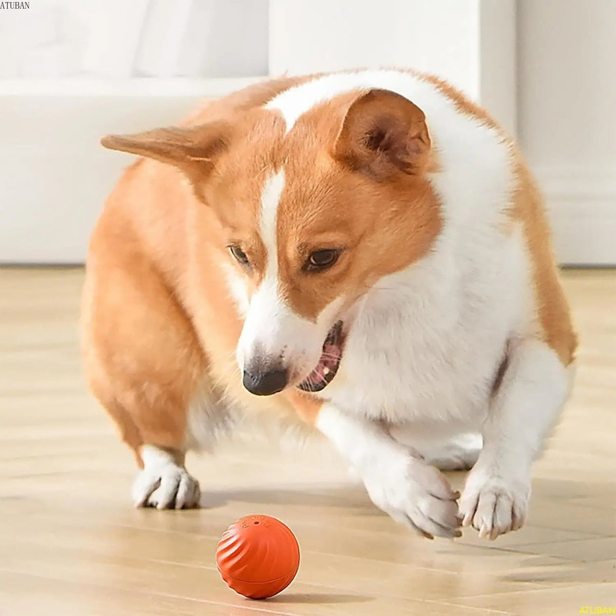 Interactive Rechargeable Jumping Ball Dog Toy