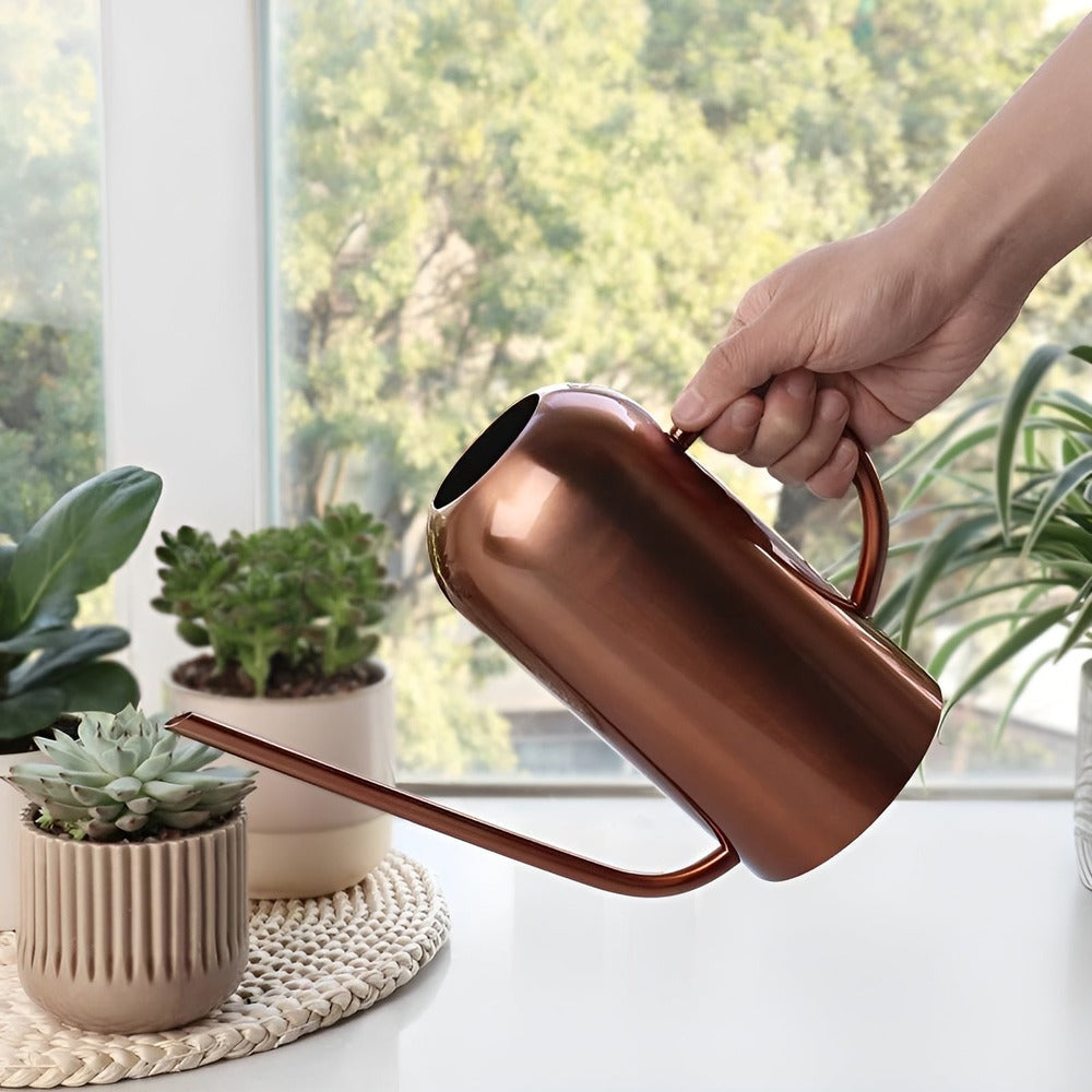 1.5L Stainless Steel Watering Can with Long Spout