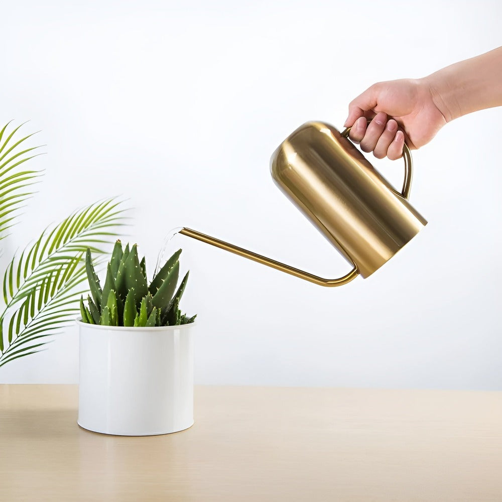1.5L Stainless Steel Watering Can with Long Spout