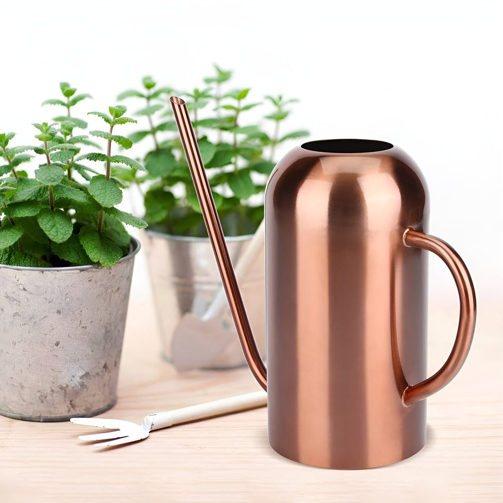 1.5L Stainless Steel Watering Can with Long Spout
