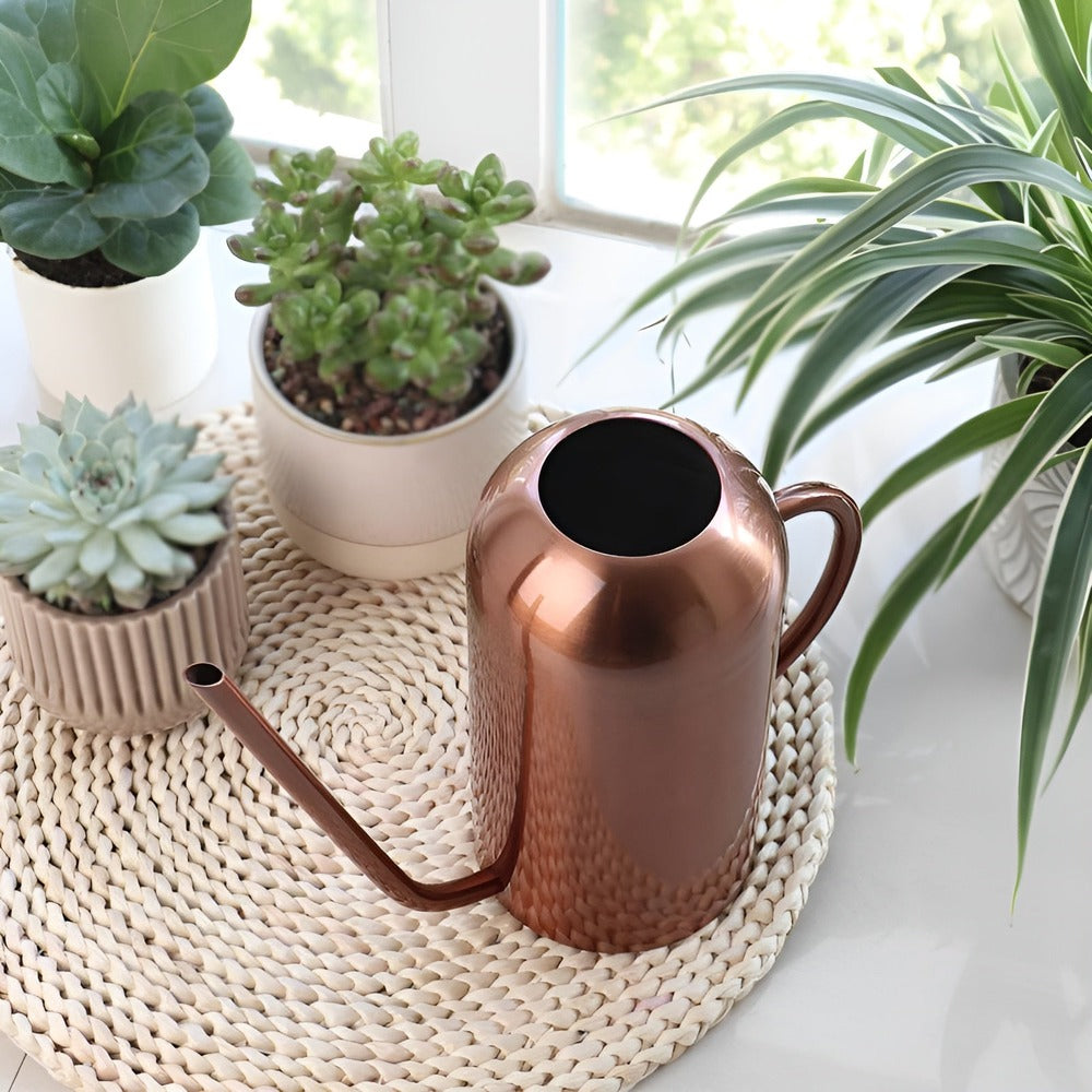 1.5L Stainless Steel Watering Can with Long Spout