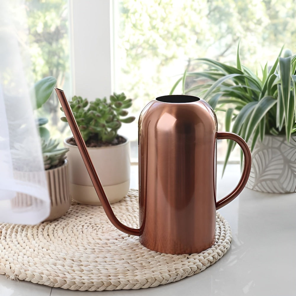 1.5L Stainless Steel Watering Can with Long Spout