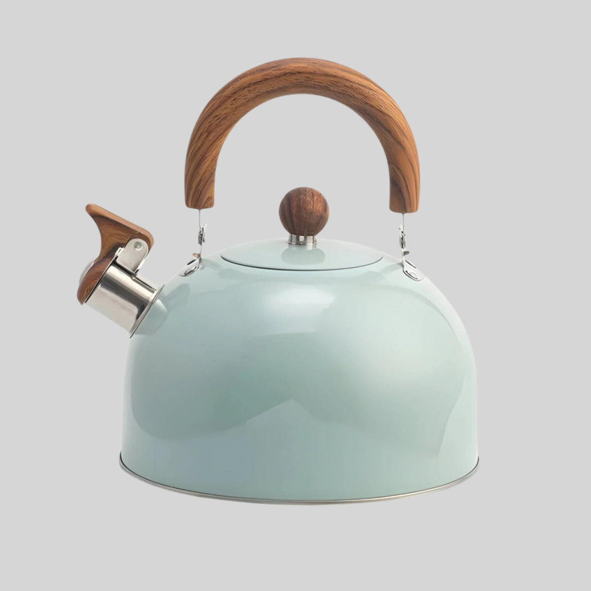 2.5L Induction Whistling Kettle for Induction Hobs with Safety Features