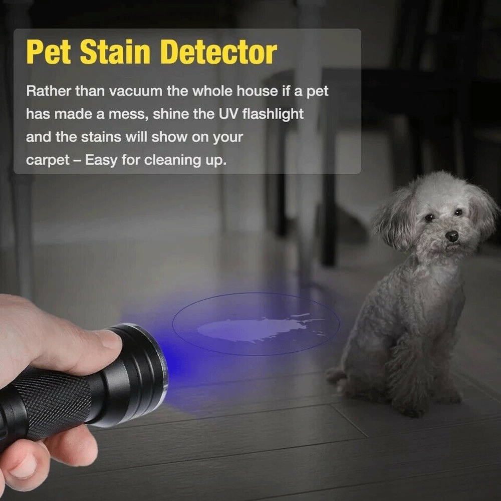 395nm UV Blacklight LED Flashlight