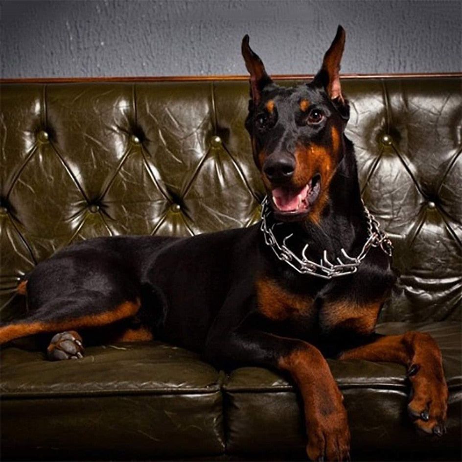 Adjustable Dog Training Collar with Rubber-Tipped Prongs