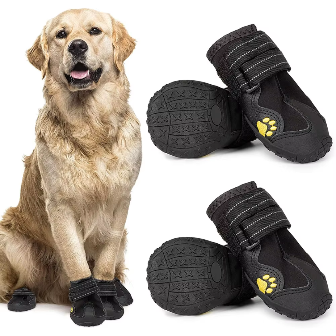 All-Weather Dog Boots