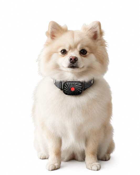 Anti-Bark Collar for Small Dogs with Sound and Vibration