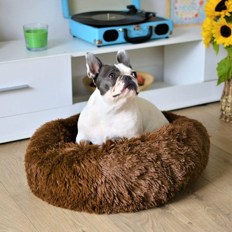Calming Dog and Cat Bed with Raised Rim