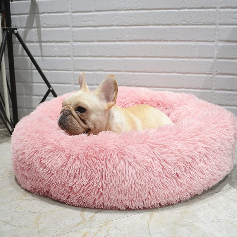Calming Dog and Cat Bed with Raised Rim