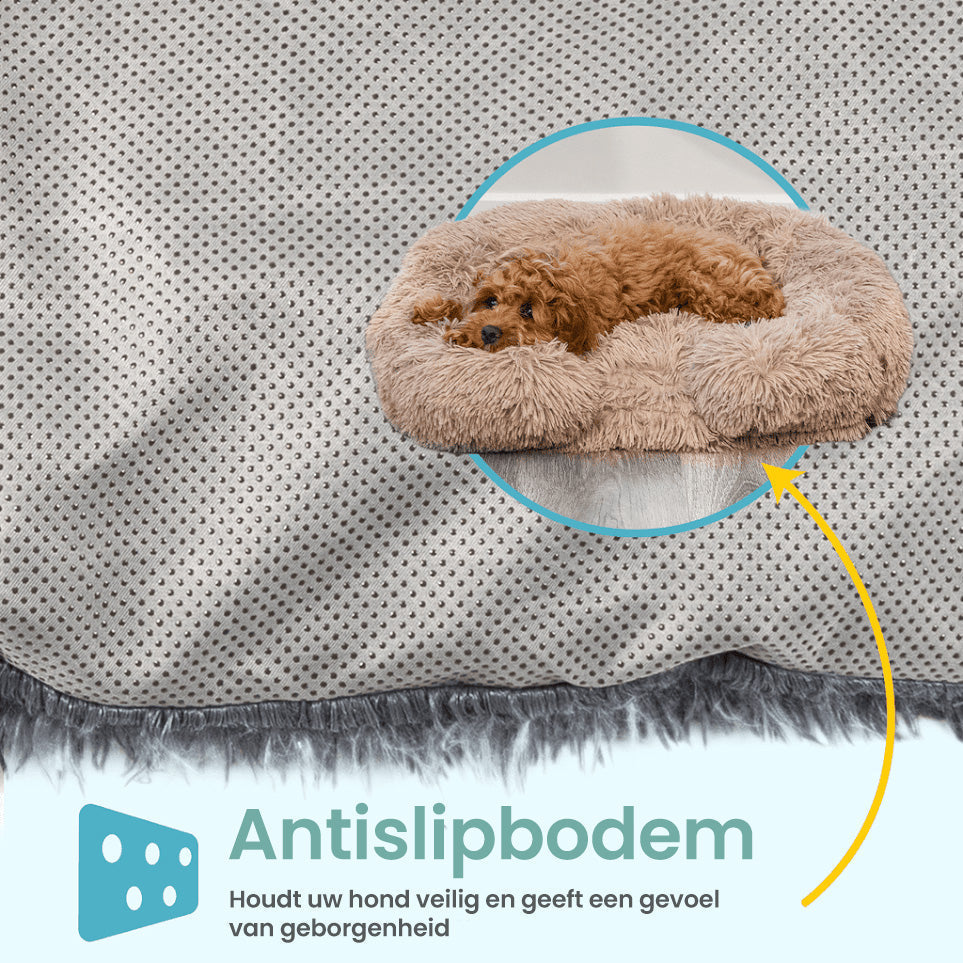 Calming Dog Bed with Memory Foam