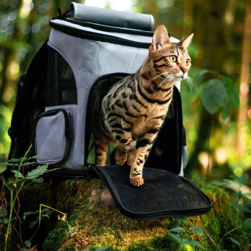 Cat Carrier Backpack
