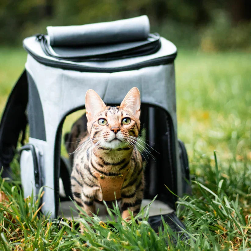 Cat Carrier Backpack