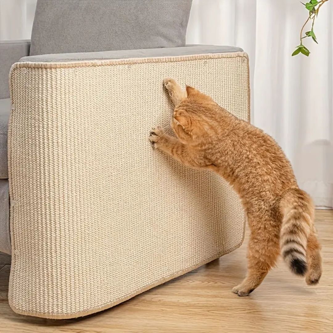 Cat Scratching Mat