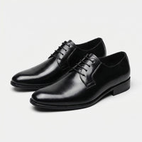 Classic Lace-Up Dress Shoes