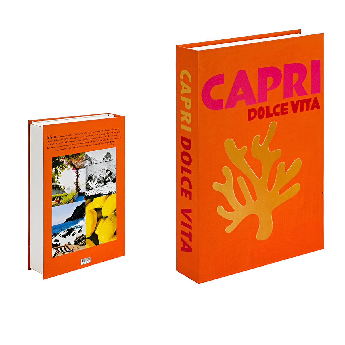 Decorative Faux Coffee Table Books