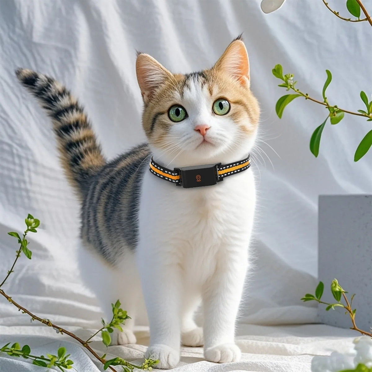Dog and Cat GPS Collar - Unlimited Range, Accurate Tracking