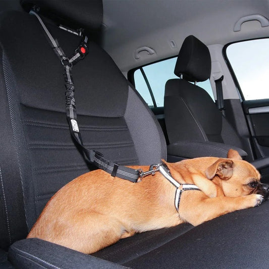 Dog Car Safety Belt with 360-Degree Swivel Clip