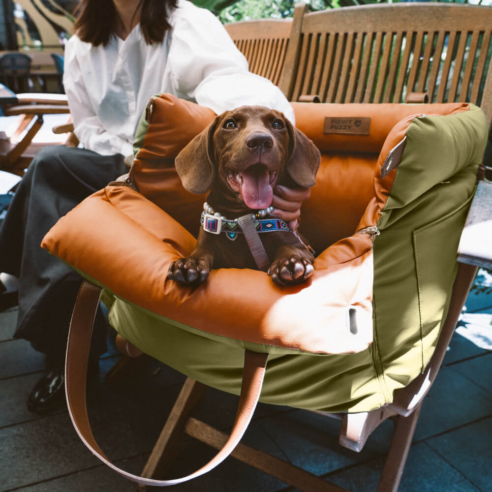 Dog Car Seat – Stylish & Safe Travel