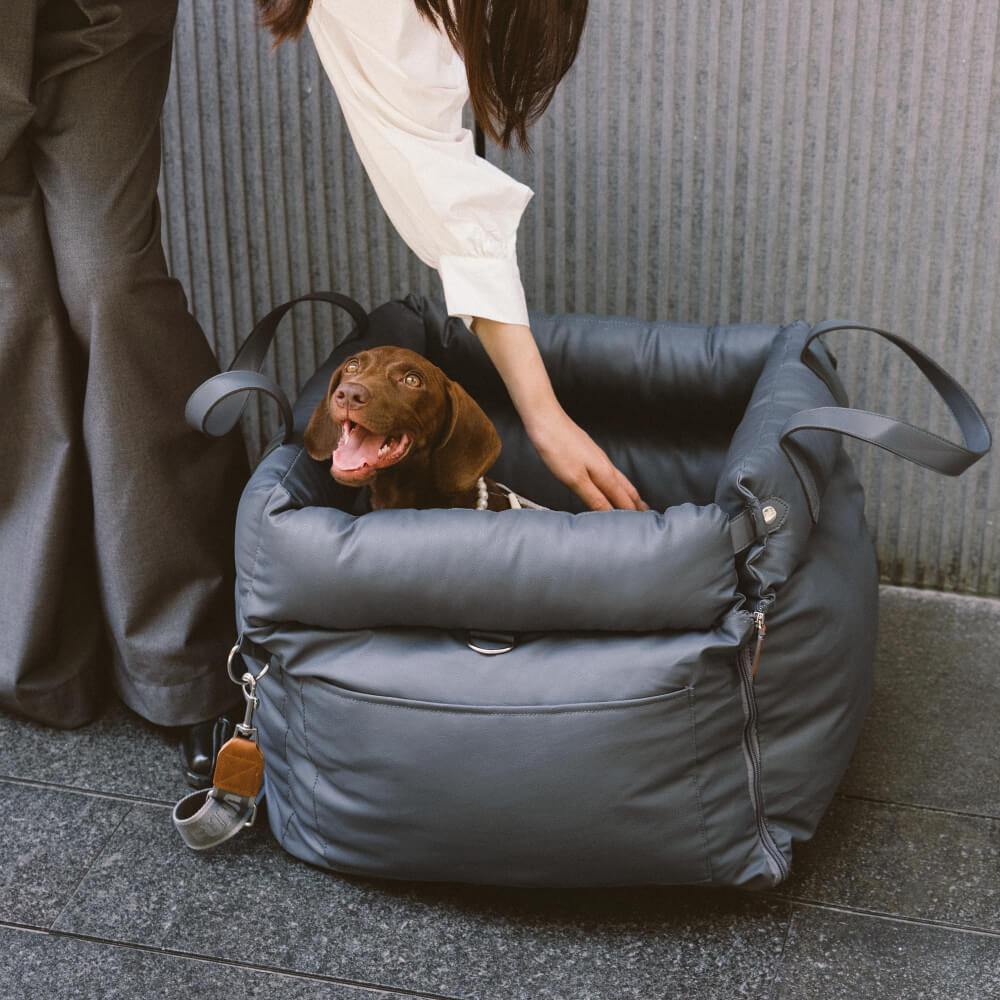 Dog Car Seat – Stylish & Safe Travel