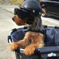 Dog Motorcycle Helmet and Goggles – Stylish and Safe