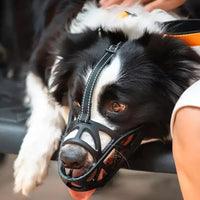 Dog Muzzle – Effective Anti-Biting and Anti-Barking Solution, Breathable and Comfortable