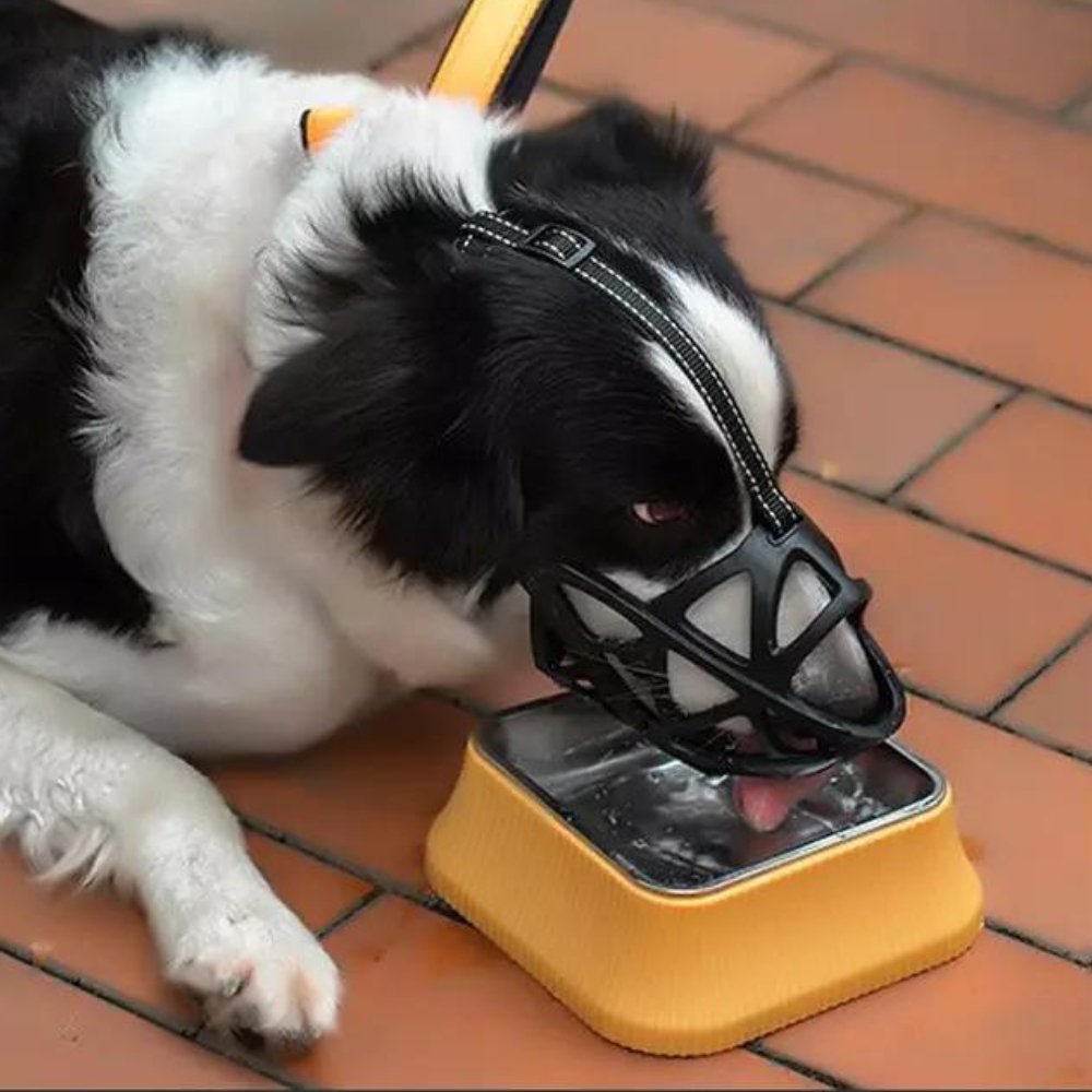 Dog Muzzle – Effective Anti-Biting and Anti-Barking Solution, Breathable and Comfortable