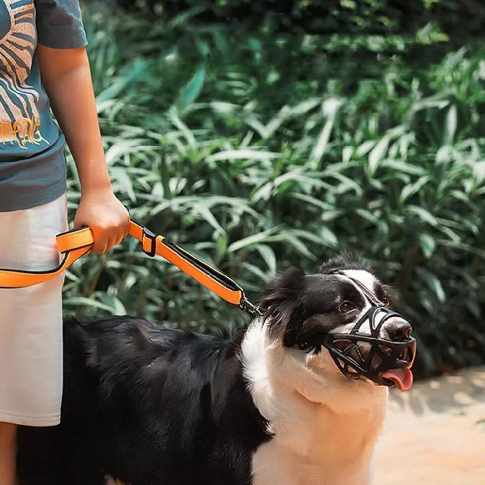 Dog Muzzle – Effective Anti-Biting and Anti-Barking Solution, Breathable and Comfortable