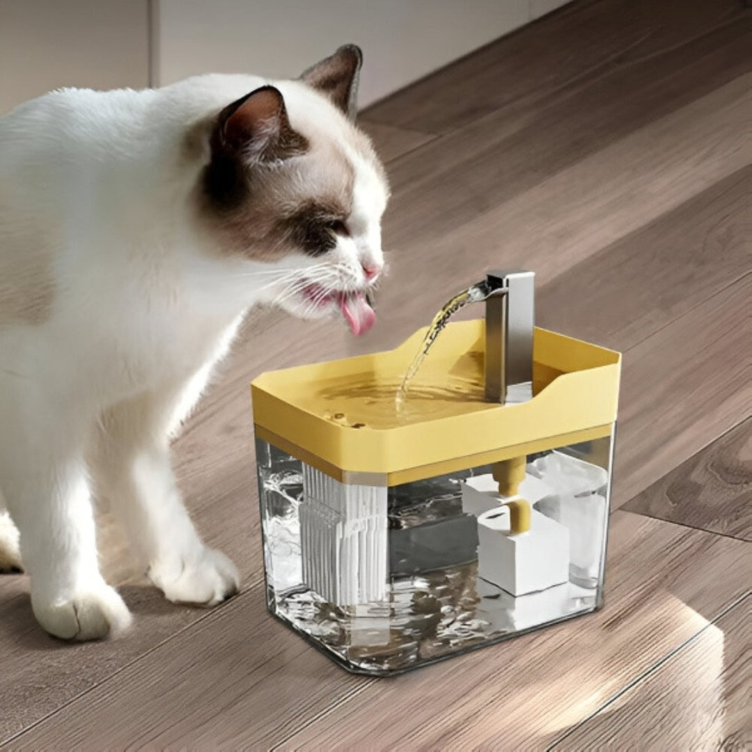 Drinking Fountain - Automatic Pet Water Fountain