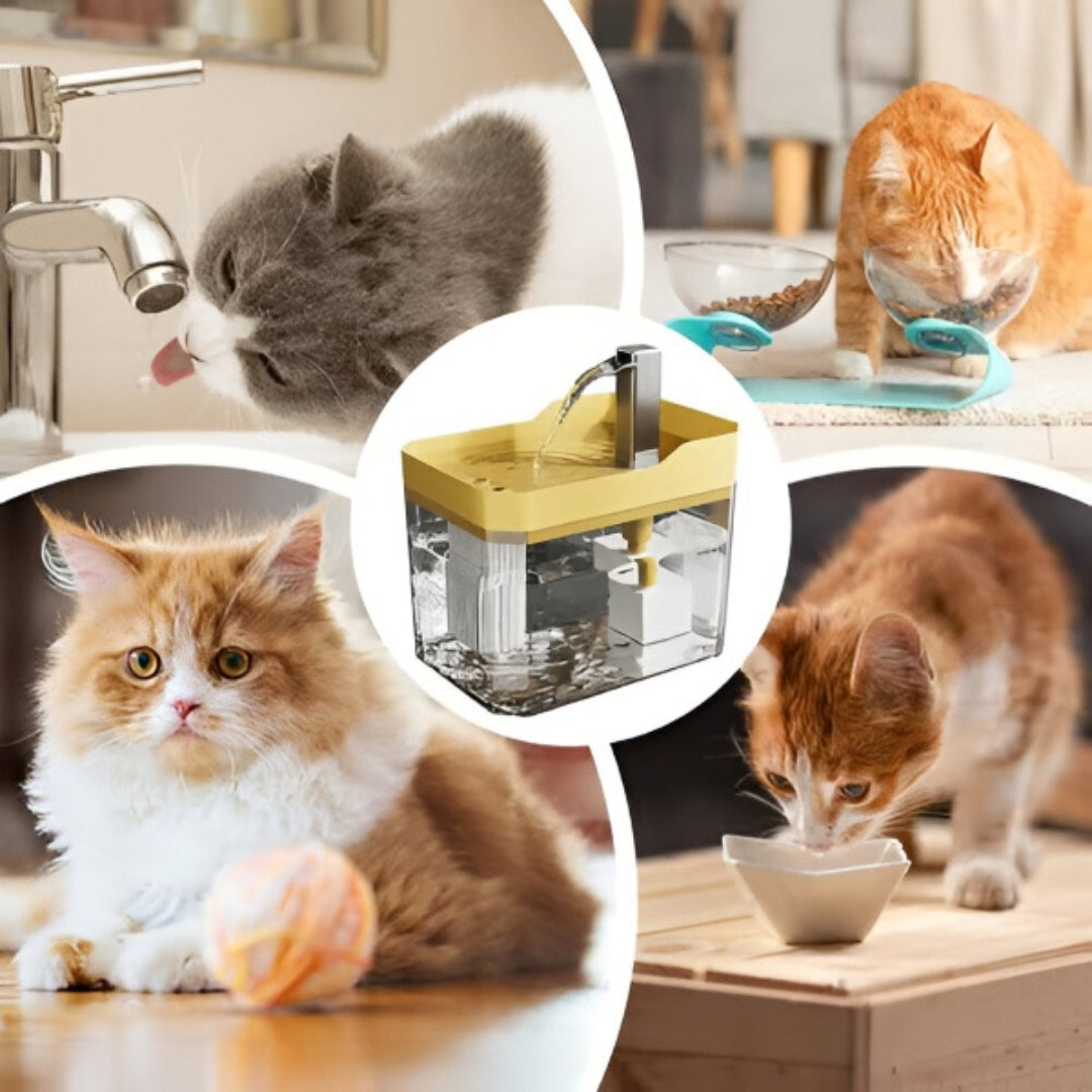 Drinking Fountain - Automatic Pet Water Fountain