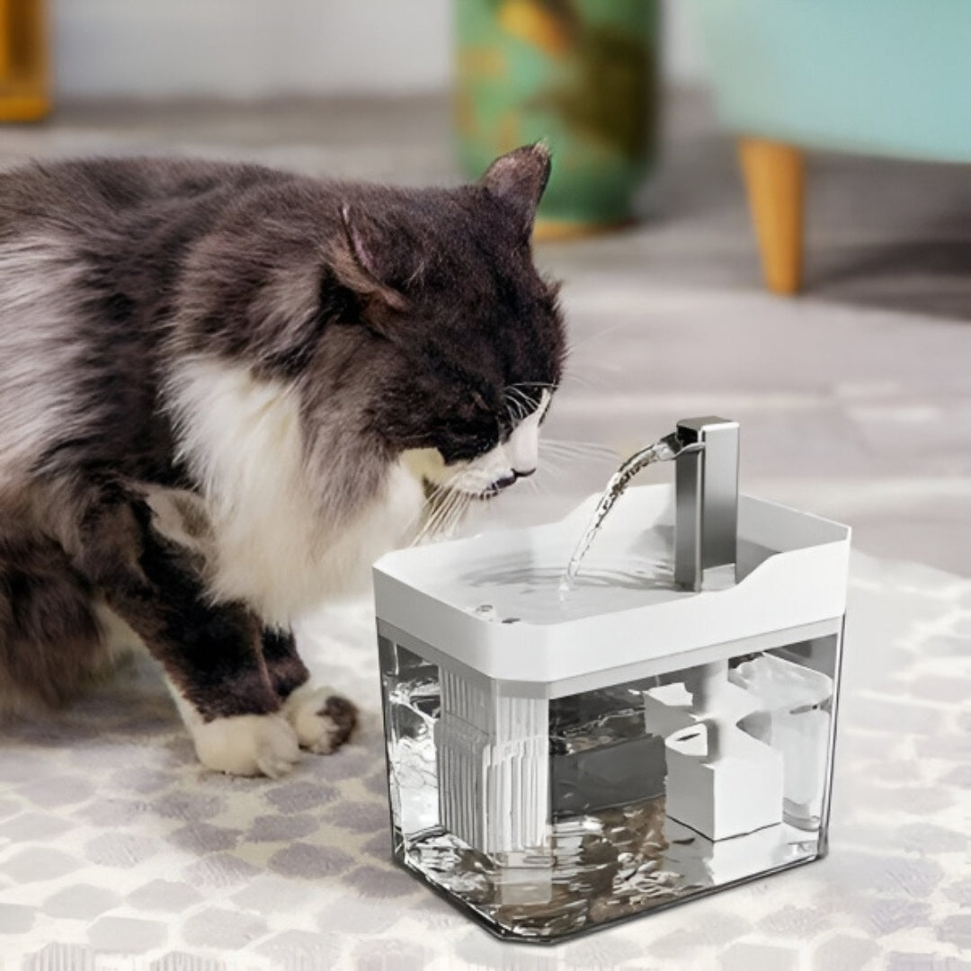Drinking Fountain - Automatic Pet Water Fountain