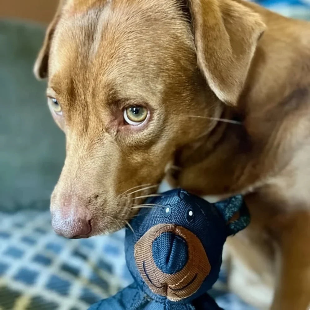 Durable and Safe Eco-Friendly Dog Toy for Aggressive Chewers