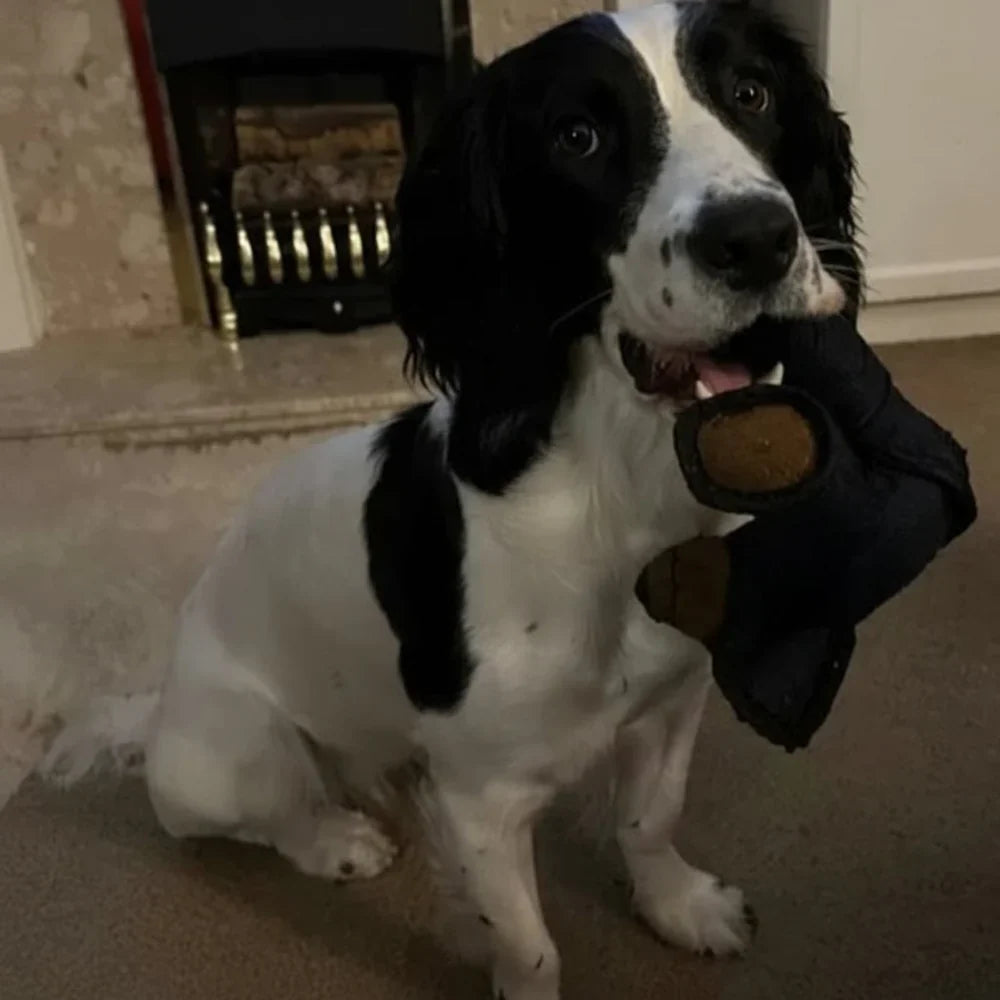 Durable and Safe Eco-Friendly Dog Toy for Aggressive Chewers