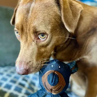 Durable Dog Chew Toy