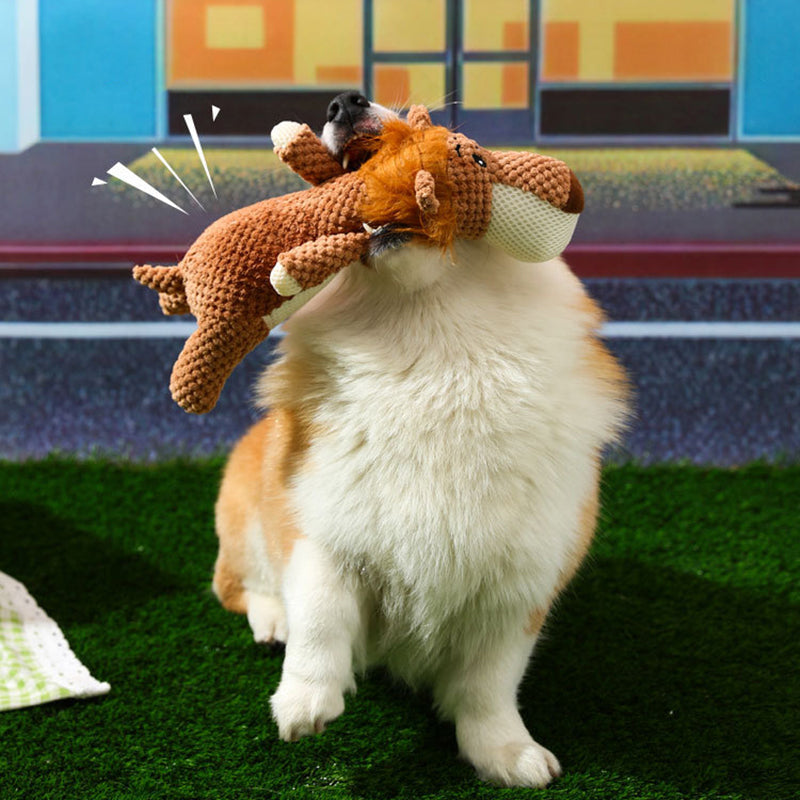 Durable Dog Toy for Chewers