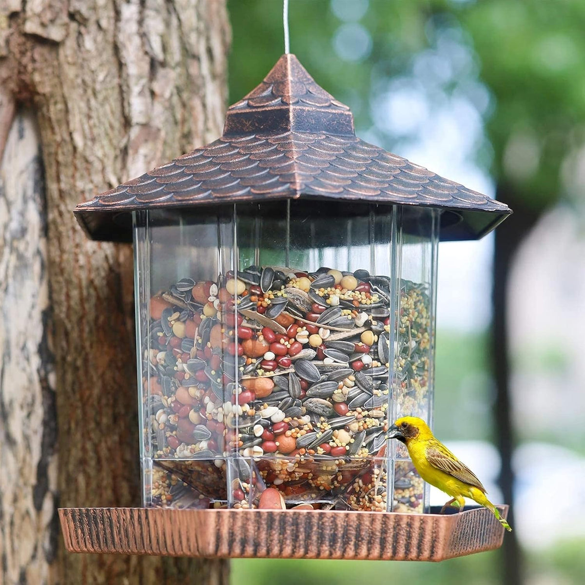 Eco-Friendly Hanging Wild Bird Feeder with Clear Seed Container and Copper Roof