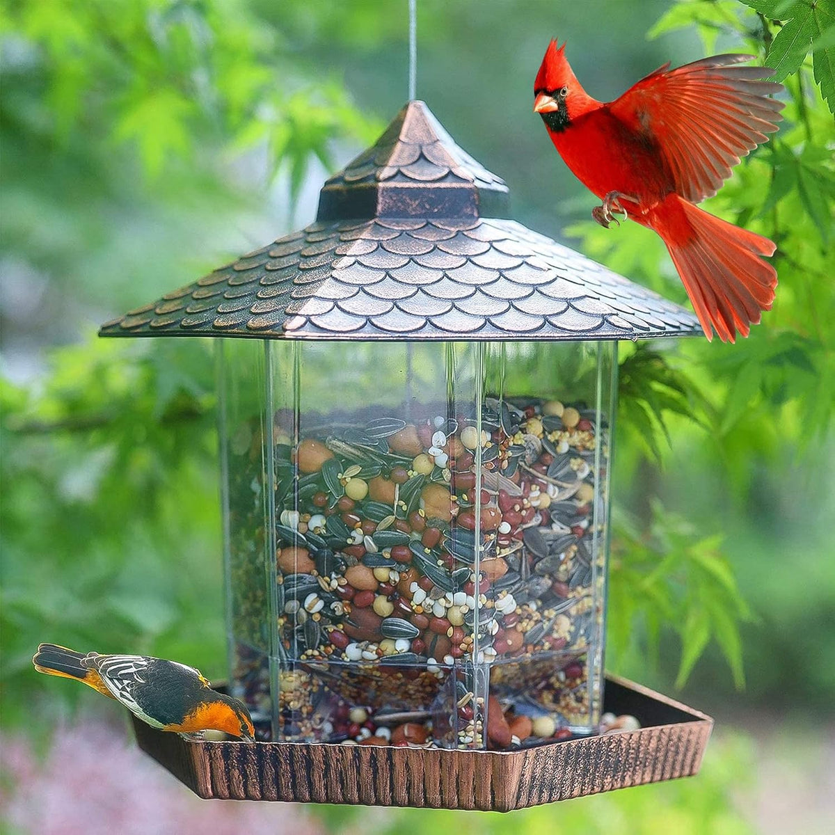 Eco-Friendly Hanging Wild Bird Feeder with Clear Seed Container and Copper Roof