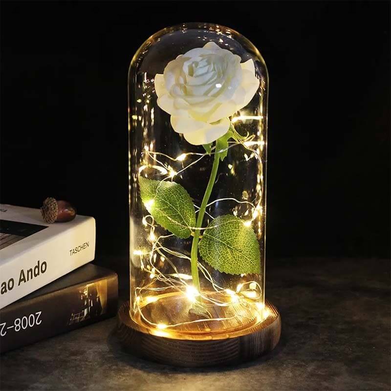 Eternal Rose in a Glass Dome – Timeless Elegance