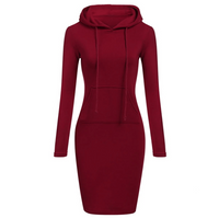 Fitted Hoodie Dress