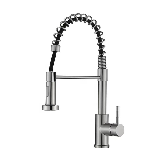 Flexible Spring Kitchen Faucet