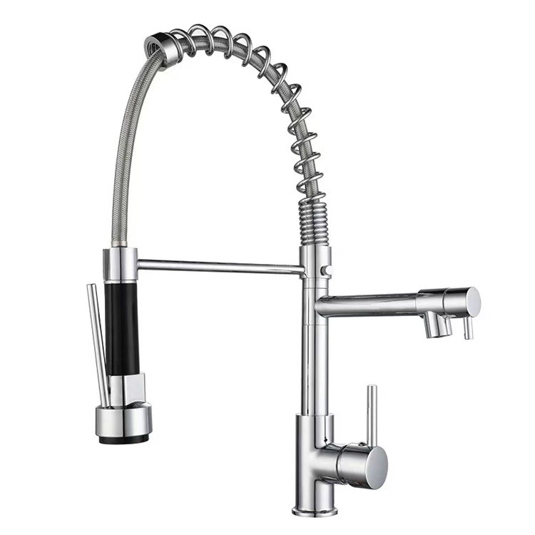 Flexible Spring Kitchen Faucet