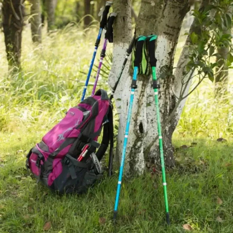Foldable Aluminum Trekking Pole