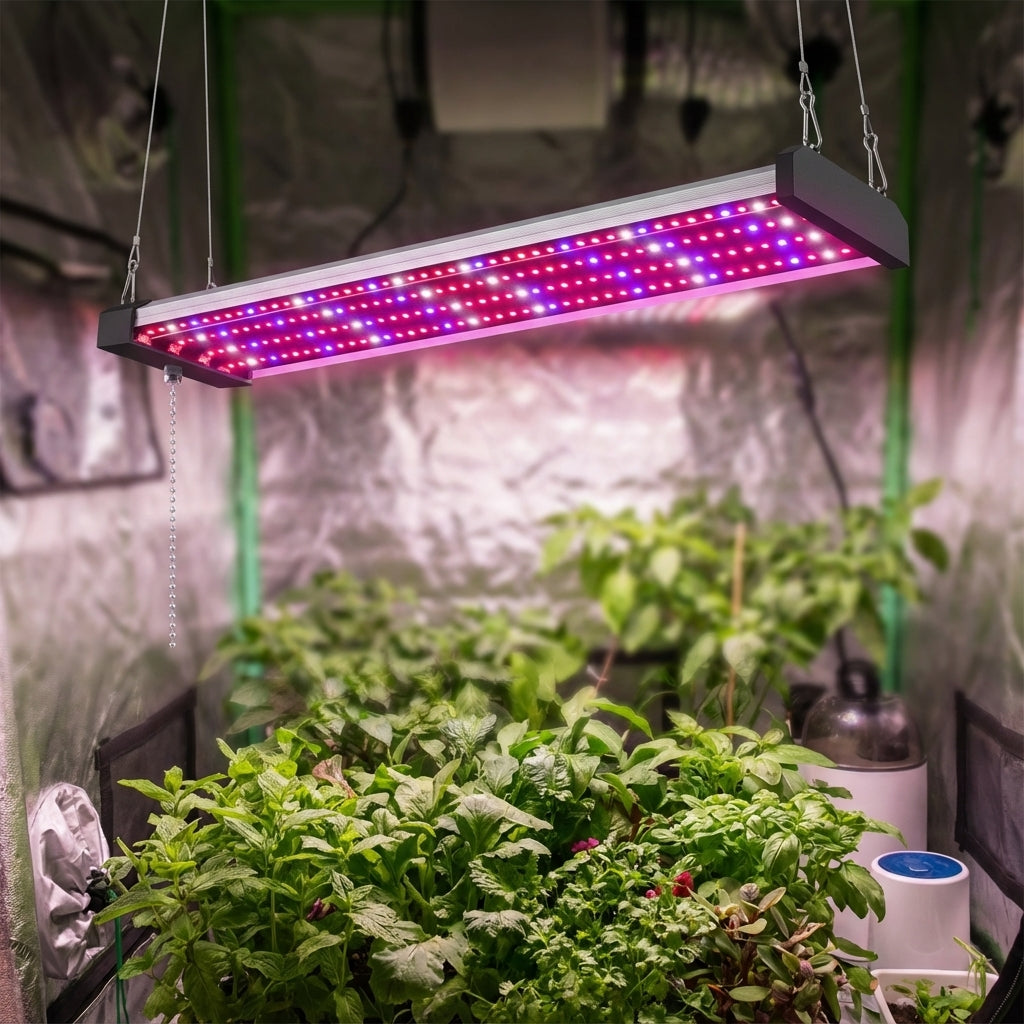 Full Spectrum LED Grow Light