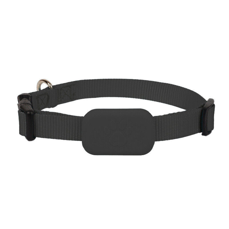 GPS Tracking Collar for Dogs & Cats with Real-Time Location Tracking