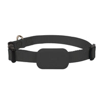 GPS Tracking Collar for Dogs & Cats with Real-Time Location Tracking