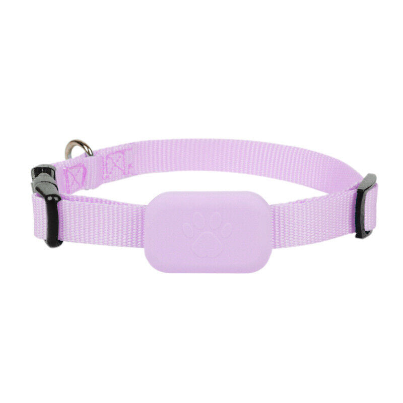 GPS Tracking Collar for Dogs & Cats with Real-Time Location Tracking