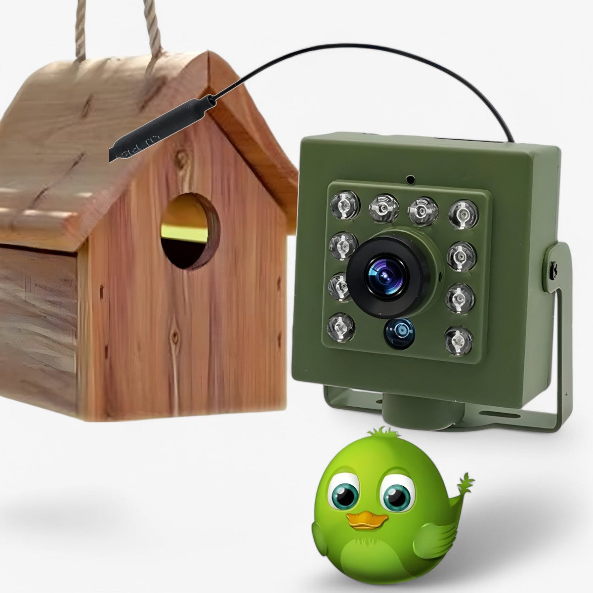 HD WiFi Bird Nest Camera – 1080p Waterproof Outdoor Wildlife Camera with Night Vision