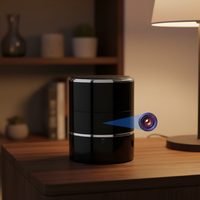 Hidden Camera in Bluetooth Speaker