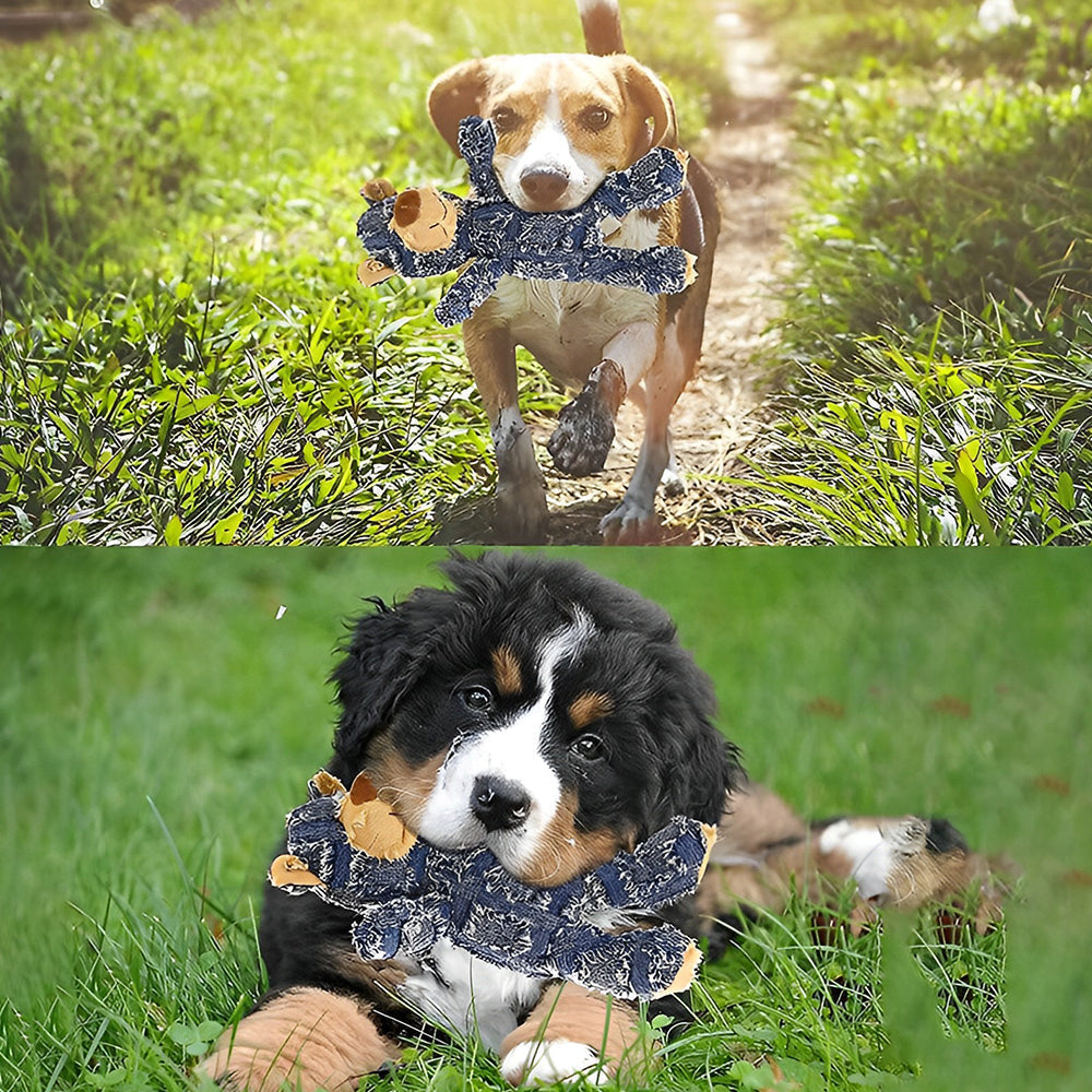 Indestructible Durable Bear