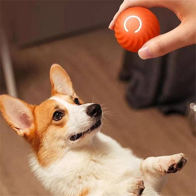 Interactive Rechargeable Jumping Ball Dog Toy