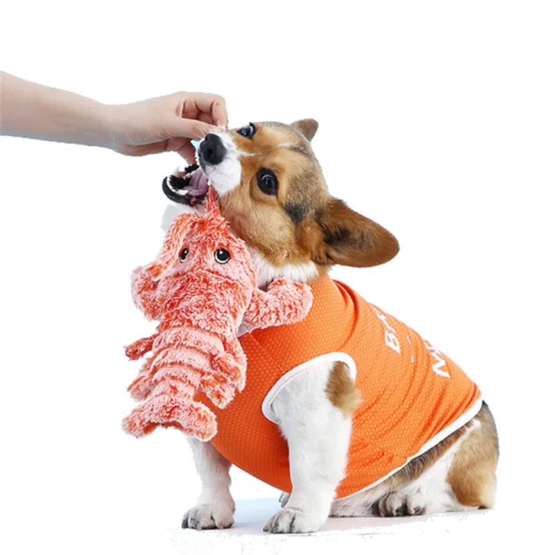 Interactive Wiggling Lobster Motion Dog Toy